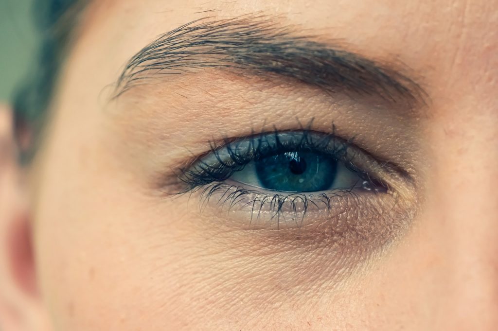 Eye Eyebrow Woman Eyelashes  - Alexas_Fotos / Pixabay